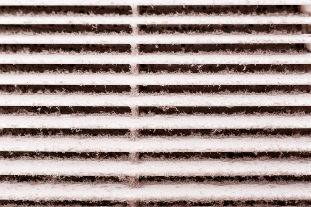 mold in air ducts