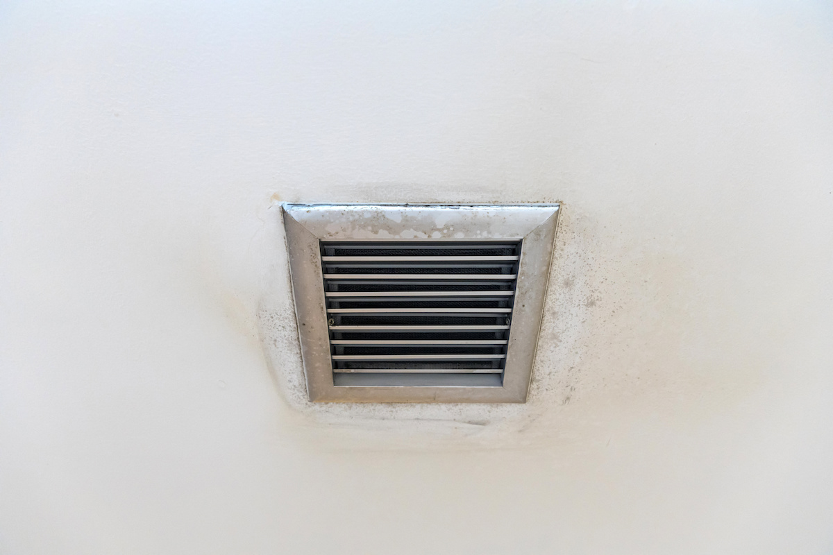 mold in air ducts